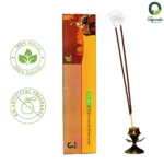 Pineapple Incense Sticks 